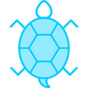 tortuga icon