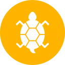 tortuga icon