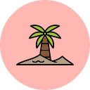 oasis icon