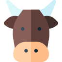 vaca