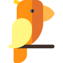 pájaro 