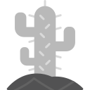 cactus icon