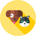 mascotas icon