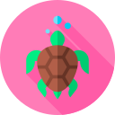 tortuga marina icon