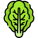 lechuga icon