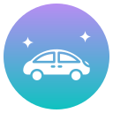 coche icon