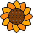 girasol