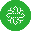 girasol icon