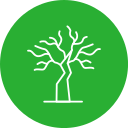 Árbol seco icon