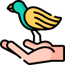 pájaro icon