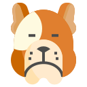 buldog icon