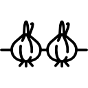 양파 