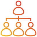 estrutura de organização 