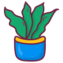 aloe vera icon