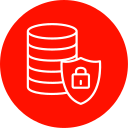 seguridad de datos icon