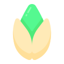 pistacho icon