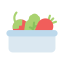 vegetales icon