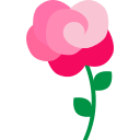rosa 