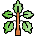 albahaca icon