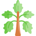 albahaca icon