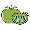 tomate icon