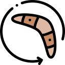 bumerang icon