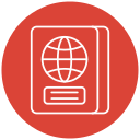 pasaporte icon