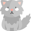 gato selkirk rex icon