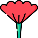 Poppy icon