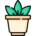 Cactus icon