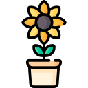 Sunflower icon