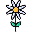Daisy icon
