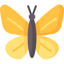 mariposa 