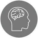 cerebro humano icon