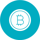 bitcoin icon