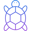 tortuga icon