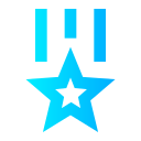 Medal  icon