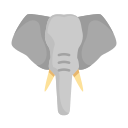 elefante icon