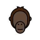 orangután 