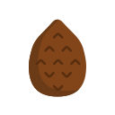 salak icon