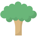 Árbol icon