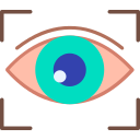 vison icon