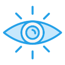 ojo icon