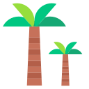 palmera icon