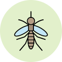 mosquito icon