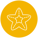 estrella de mar icon