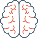 cerebro