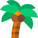 Árbol de coco icon