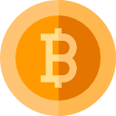 bitcoin icon