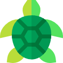 tortuga icon